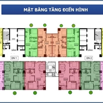 Tầng điển hình Tầng điển hình