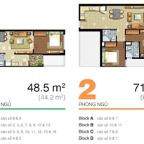 Thiết kế căn hộ 48.5 m2
