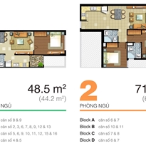 Thiết kế căn hộ 71m2