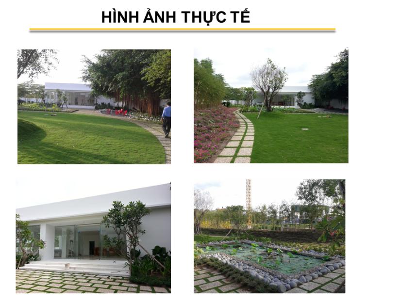 Hình ảnh thực tế dự án