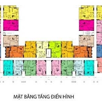 Tầng điển hình Tầng điển hình