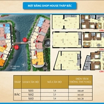 Thiết kế căn hộ shophouse tháp Bắc Thiết kế căn hộ shophouse tháp Bắc