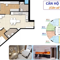 Thiết kế căn hộ 01, 04, 05, 08