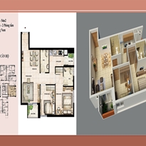 Thiết kế căn hộ D Thiết kế căn hộ D