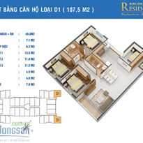 Thiết kế căn hộ D1