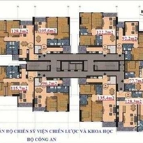 Tầng điển hình Tầng điển hình