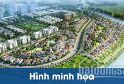 KĐT Ecohomes Tri Thức Trẻ